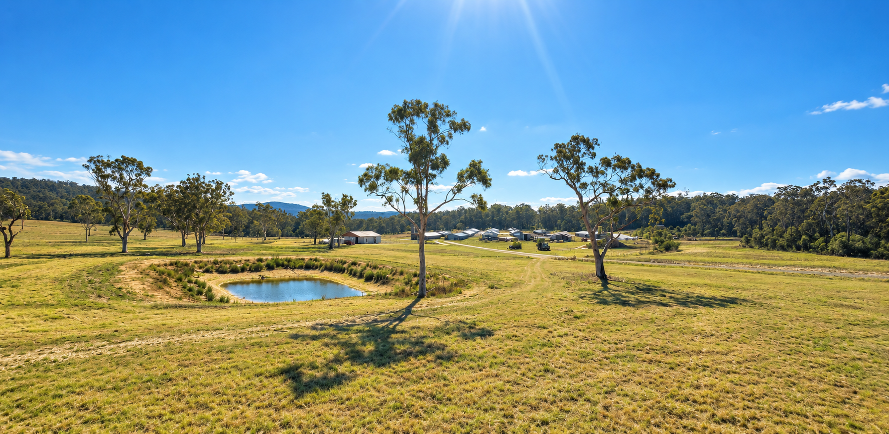Tinder Creek Ducks Farm